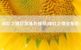 绯红之境好用角色推荐(绯红之境全角色)