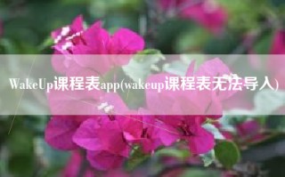 WakeUp课程表app(wakeup课程表无法导入)