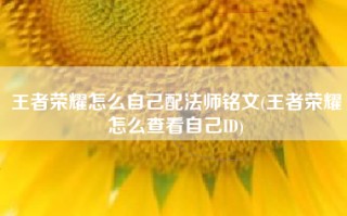 王者荣耀怎么自己配法师铭文(王者荣耀怎么查看自己ID)
