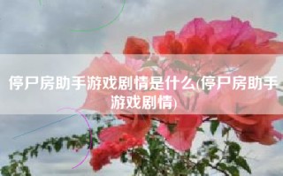 停尸房助手游戏剧情是什么(停尸房助手游戏剧情)