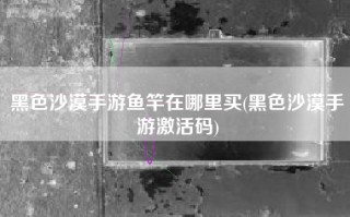 黑色沙漠手游鱼竿在哪里买(黑色沙漠手游激活码)