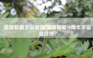 英雄联盟宇宙地图(英雄联盟10周年宇宙竞技场)