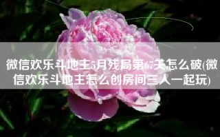 微信欢乐斗地主5月残局第67关怎么破(微信欢乐斗地主怎么创房间三人一起玩)