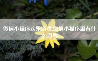 微信小程序欢乐游戏,微信小程序里有什么游戏