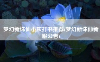 梦幻新诛仙小灰打书推荐(梦幻新诛仙新服公告)