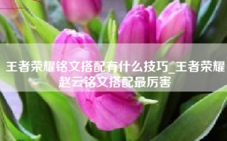 王者荣耀铭文搭配有什么技巧_王者荣耀赵云铭文搭配最厉害