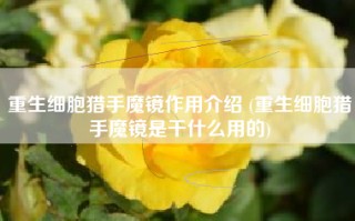 重生细胞猎手魔镜作用介绍 (重生细胞猎手魔镜是干什么用的)