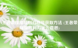 王者荣耀摧城利刃称号获取方法 (王者荣耀摧城利刃什么意思)