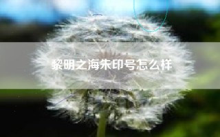 黎明之海朱印号怎么样