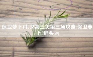 保卫萝卜4七夕第三关第三场攻略(保卫萝卜3码头59)
