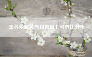 王者荣耀黄忠和鲁班七号对比分析