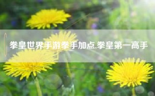 拳皇世界手游拳手加点,拳皇第一高手
