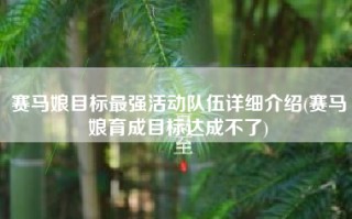赛马娘目标最强活动队伍详细介绍(赛马娘育成目标达成不了)