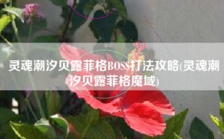 灵魂潮汐贝露菲格BOSS打法攻略(灵魂潮汐贝露菲格魔域)