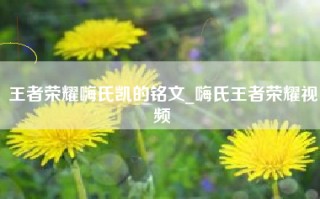 王者荣耀嗨氏凯的铭文_嗨氏王者荣耀视频