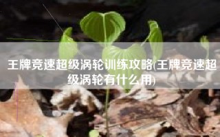 王牌竞速超级涡轮训练攻略(王牌竞速超级涡轮有什么用)