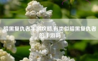暗黑复仇者手游攻略,有类似暗黑复仇者的手游吗