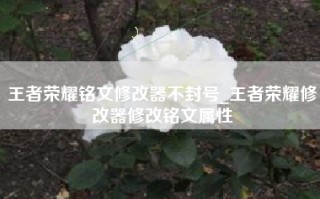 王者荣耀铭文修改器不封号_王者荣耀修改器修改铭文属性