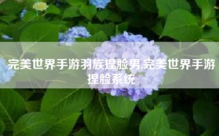 完美世界手游羽族捏脸男,完美世界手游捏脸系统
