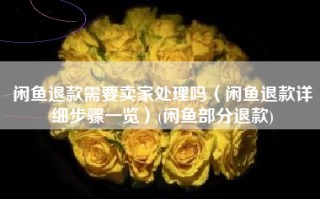闲鱼退款需要卖家处理吗（闲鱼退款详细步骤一览）(闲鱼部分退款)