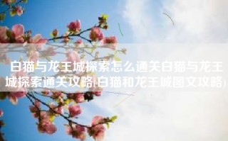 白猫与龙王城探索怎么通关白猫与龙王城探索通关攻略(白猫和龙王城图文攻略)