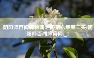 阴阳师百闻牌秘闻之间第六章第二关(阴阳师百闻牌官网)_1