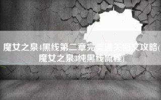 魔女之泉4黑线第二章完美通关图文攻略(魔女之泉3纯黑线流程)