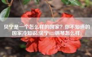 贝宁是一个怎么样的国家？你不知道的国家冷知识(贝宁123钢琴怎么样)