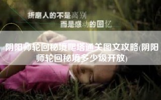 阴阳师轮回秘境爬塔通关图文攻略(阴阳师轮回秘境多少级开放)