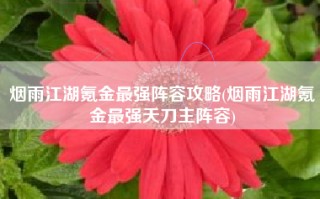 烟雨江湖氪金最强阵容攻略(烟雨江湖氪金最强天刀主阵容)