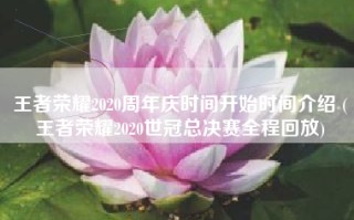 王者荣耀2020周年庆时间开始时间介绍 (王者荣耀2020世冠总决赛全程回放)