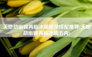 天地劫幽城再临冰璃绝学搭配推荐(天地劫幽城再临冰璃五内)