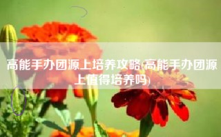 高能手办团源上培养攻略(高能手办团源上值得培养吗)