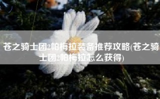 苍之骑士团2帕梅拉装备推荐攻略(苍之骑士团2帕梅拉怎么获得)