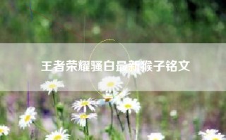 王者荣耀骚白最新猴子铭文