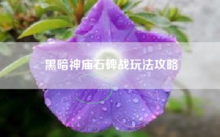 黑暗神庙石碑战玩法攻略