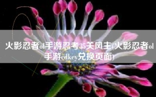 火影忍者ol手游忍考35关风主(火影忍者ol手游cdkey兑换页面)