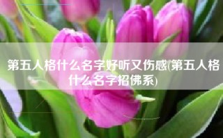 第五人格什么名字好听又伤感(第五人格什么名字招佛系)