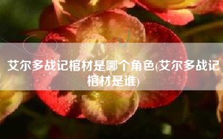 艾尔多战记棺材是哪个角色(艾尔多战记棺材是谁)