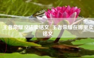 王者荣耀没法卖铭文_王者荣耀在哪里卖铭文
