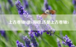 上古卷轴5是h游戏,还是上古卷轴5
