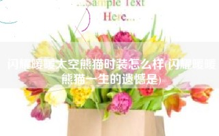 闪耀暖暖太空熊猫时装怎么样(闪耀暖暖熊猫一生的遗憾是)