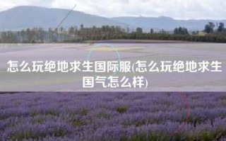 怎么玩绝地求生国际服(怎么玩绝地求生国气怎么样)