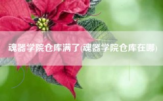 魂器学院仓库满了(魂器学院仓库在哪)