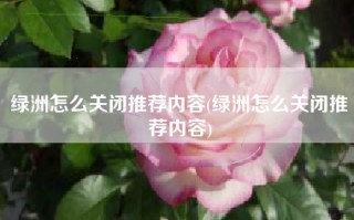 绿洲怎么关闭推荐内容(绿洲怎么关闭推荐内容)