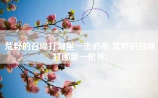 荒野的召唤打哪里一击必杀(荒野的召唤打哪里一枪死)