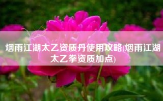 烟雨江湖太乙资质丹使用攻略(烟雨江湖太乙拳资质加点)