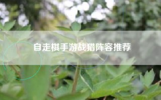 自走棋手游战猎阵容推荐