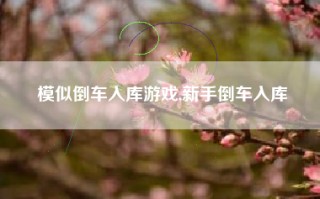 模似倒车入库游戏,新手倒车入库