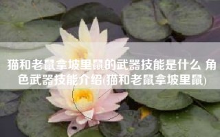 猫和老鼠拿坡里鼠的武器技能是什么 角色武器技能介绍(猫和老鼠拿坡里鼠)